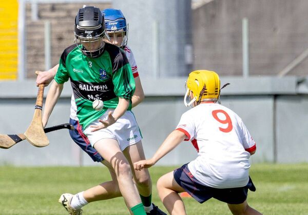 Action from the Division 2 Hurling final Photo: Alf Harvey.