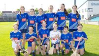 Cuddy shines as Castletown win Division 1 camogie title