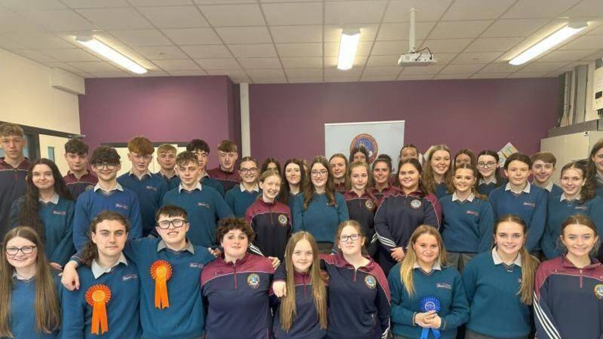 Budding Laois scientists shine at Heywood SciFest
