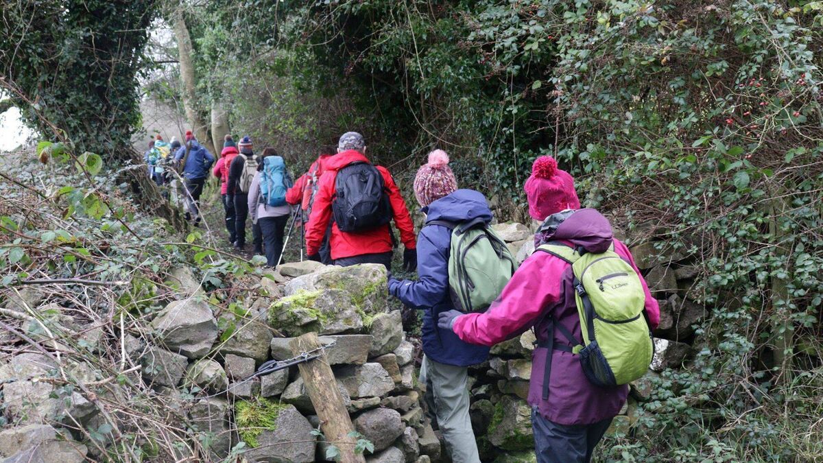 Two lovely Laois trails to share €20,000