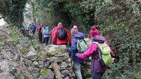Two lovely Laois trails to share €20,000 
