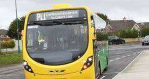 Additional bus routes sought in Portlaoise