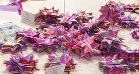 Event to celebrate 10,000 stars in Laois