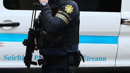 Garda who was shot in leg by his own gun sues State