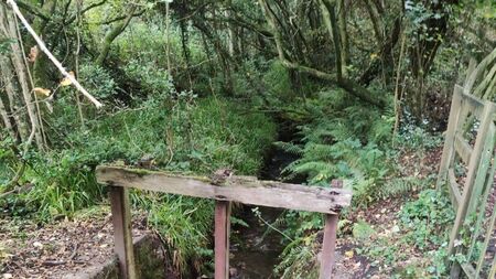 Almost €23k allocated to Killeshin waterworks