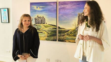 Laois art exhibition will take you on a trip through the ages