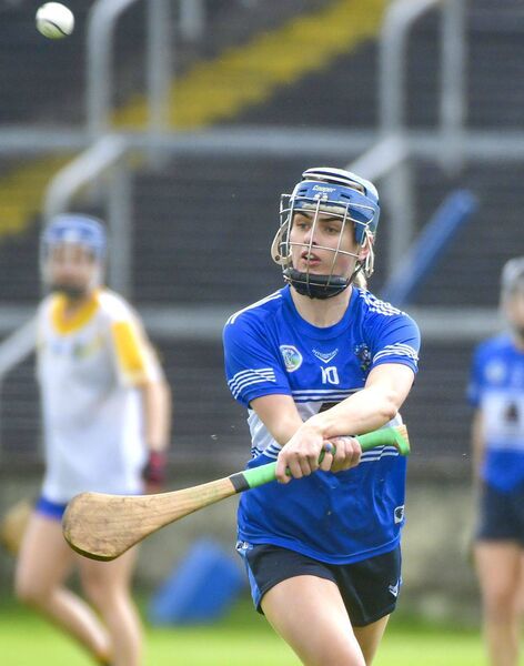 Lynda Keyes in action for Laois against Wicklow on Saturday Photo: Denis Byrne Lynda Keyes in action for Laois against Wicklow on Saturday Photo: Denis Byrne