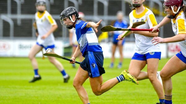 Laois had a point to prove, and they did just that