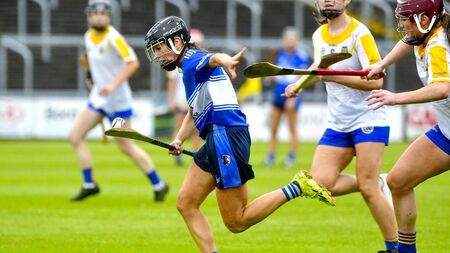 Laois had a point to prove, and they did just that