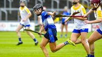 Laois had a point to prove, and they did just that