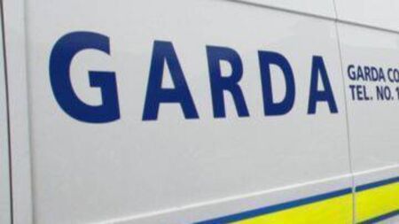 Man arrested in Laois over alleged online threats