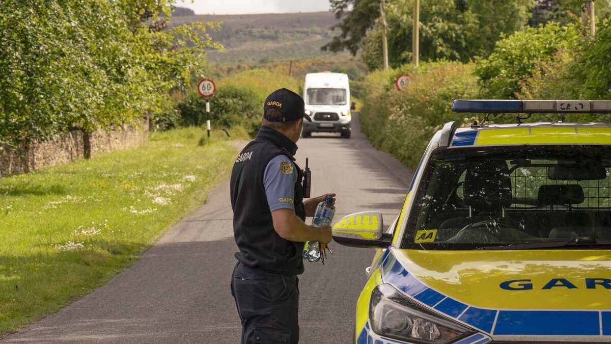 Search ends in Laois for Fiona Pender's remains