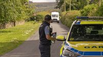 Search ends in Laois for Fiona Pender's remains