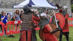 Festival organisers in Laois receive grants close to €90,000 Festival organisers in Laois receive grants close to €90,000