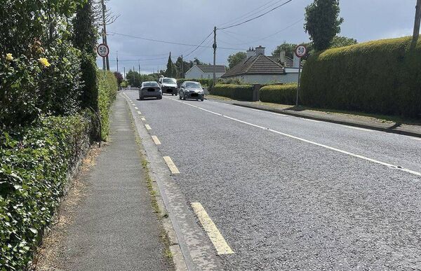 Householders in the village of Arles have signed a petition demanding that TII work in conjunction with Laois County Council to put a pedestrian crossing in the vicinity of the school, said Deputy Brian Stanley