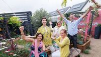 Laois woman's winning garden on show at Bloom