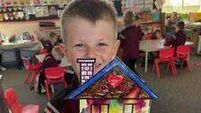Laois pupils way ahead growing their own vegetables