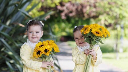 Hospice Sunflower collections in Laois this coming weekend