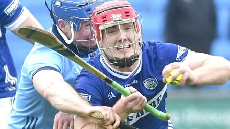 Dooley still coming to terms with honour of being chosen to lead his county