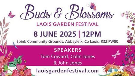 Buds & Blossoms Festival Returns for 2025