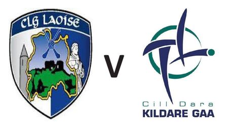 Three changes as Tommy Fitzgerald names team to face Kildare in Joe McDonagh Cup final