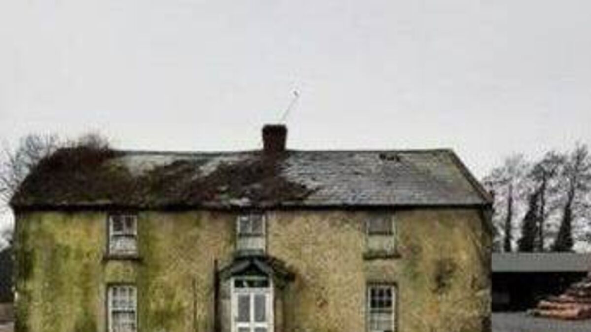 'Trump tariffs' needed on derelict Laois properties