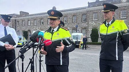 Gardaí to consider bringing in full-time cadaver dog, says Commissioner