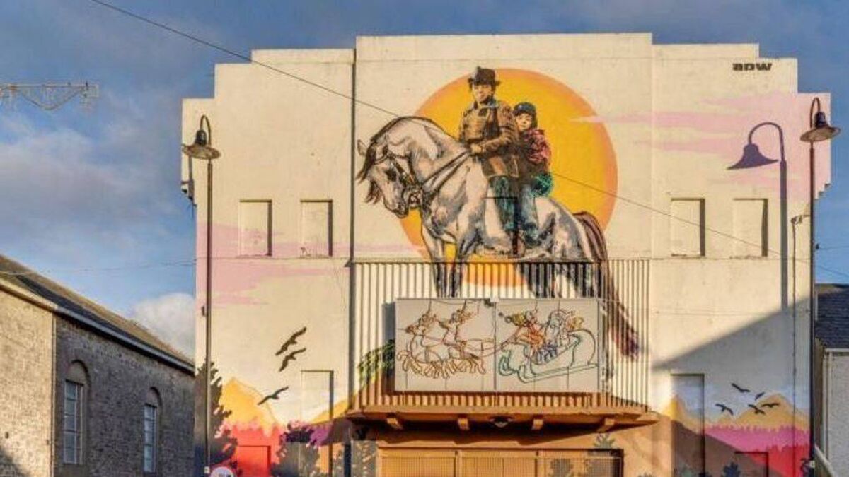 Old cinema in Laois bought for enterprise centre 
