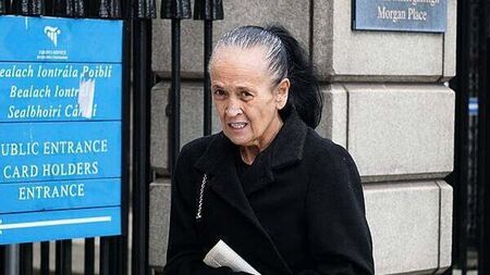 Widow of murder victim ordered to pay €11,000 for care of seized XL Bully dogs