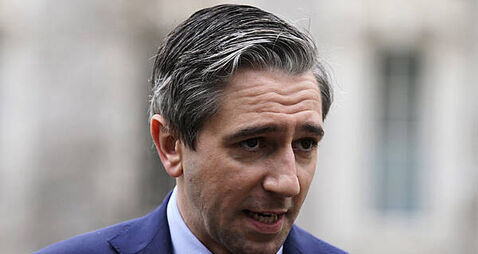 Nursing home documentary should be investigated by gardaí – Tanaiste