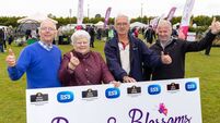 Laois Garden Festival was full of Buds and Blooms 