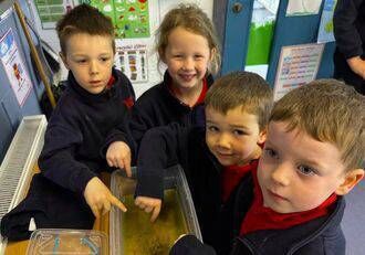 Dipping their fingers in it Dipping their fingers in it