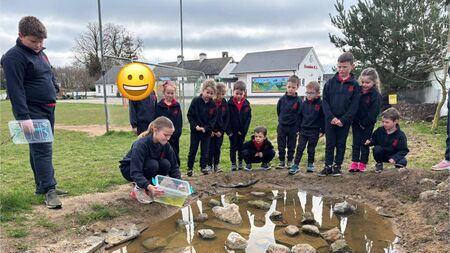 Laois school brings gold home from national competition