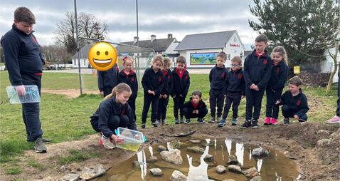 Laois school brings gold home from national competition