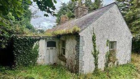 Information session for those interested in renovating vacant and derelict buildings in Laois