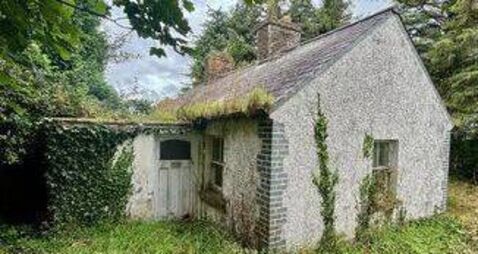 Information session for those interested in renovating vacant and derelict buildings in Laois