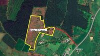 Matt Dunne, Auctioneer slips into Kilkenny & sells land for 50% over the reserve!