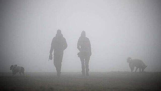 Status yellow fog warning in place for most counties