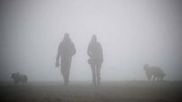Status yellow fog warning in place for most counties