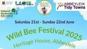 Bee Festival in a Laois town this coming weekend Bee Festival in a Laois town this coming weekend