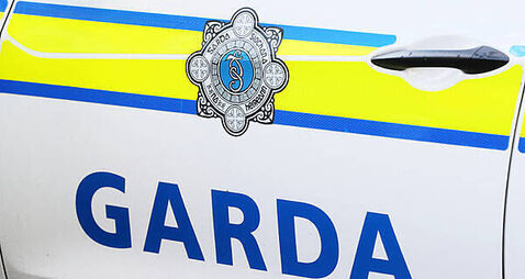 Officers seize cannabis worth almost €3m in Limerick