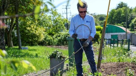 Abbeyleix set to bloom on world stage