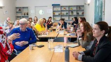 Progress being made on the greening of Portlaoise - meeting hears