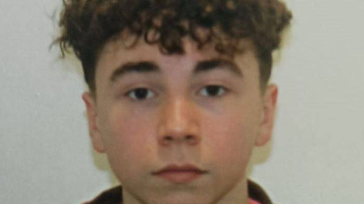 Gardaí renew appeal for missing Laois boy