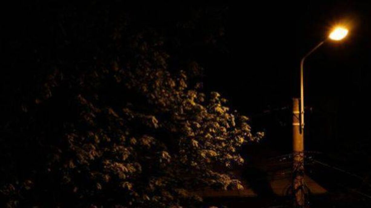 Dark Laois road has '10 poles and one light'