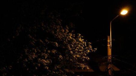 Dark Laois road has '10 poles and one light'