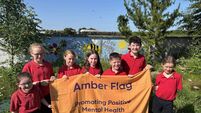 Shanahoe school awarded first ‘wellbeing’ flag by Pieta House 