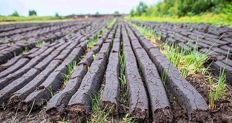 Man refusing to stop extracting peat has no trespass sign with '€100,000 charge'