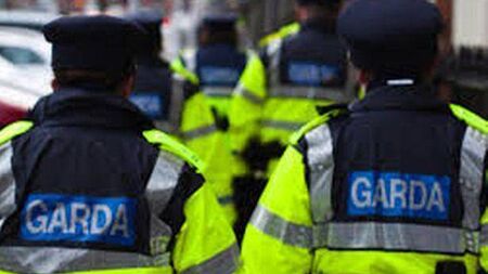 Bogus 999 callout led to assault on Laois gardaí