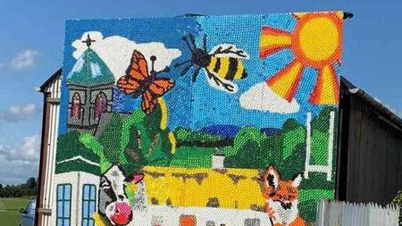 Stunning mural unveiled in Laois village